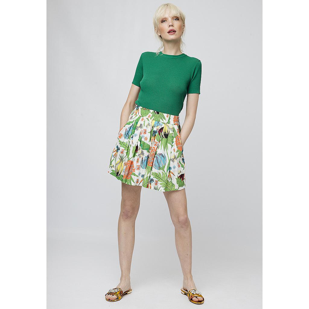 Shorts Palm / Palm Shorts